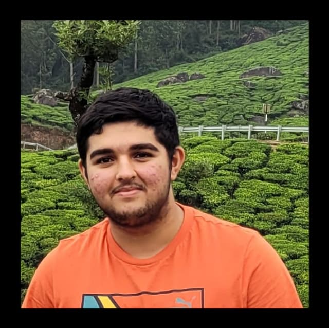 Profile photo of Arya, tutor offering online and in-person lessons at KIS Academics